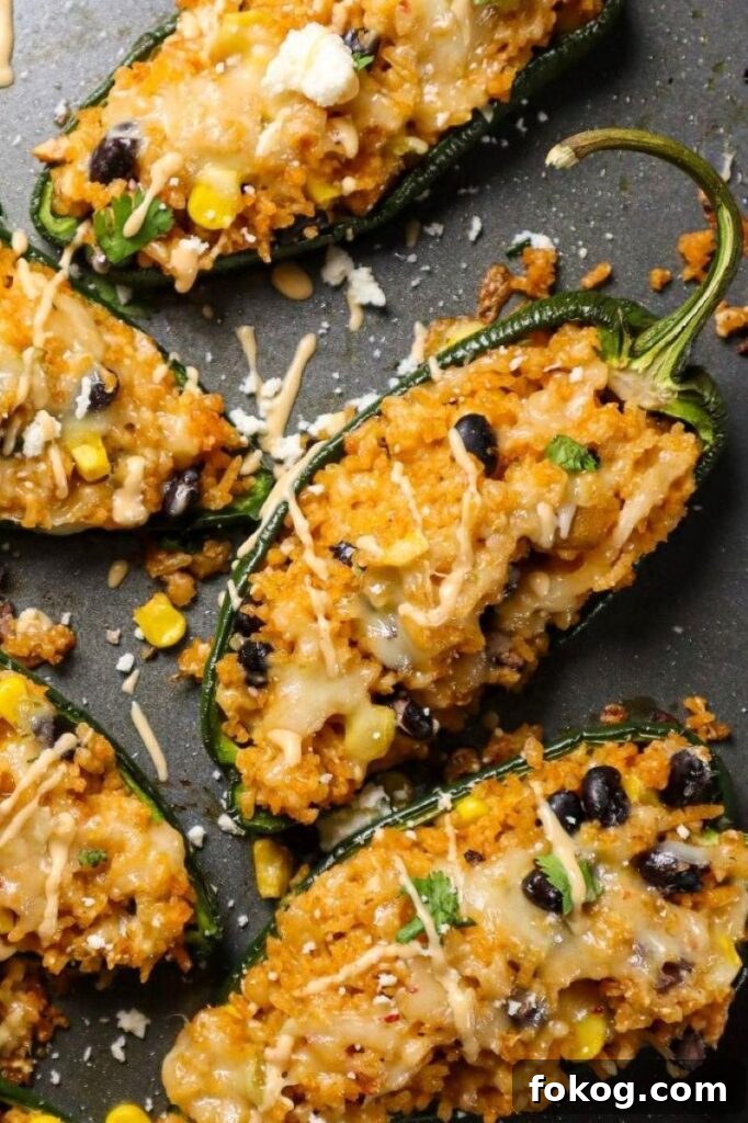 Queso and Rice Stuffed Poblano Peppers Recipe 4 Rice and Cheese Stuffed Poblano Peppers
