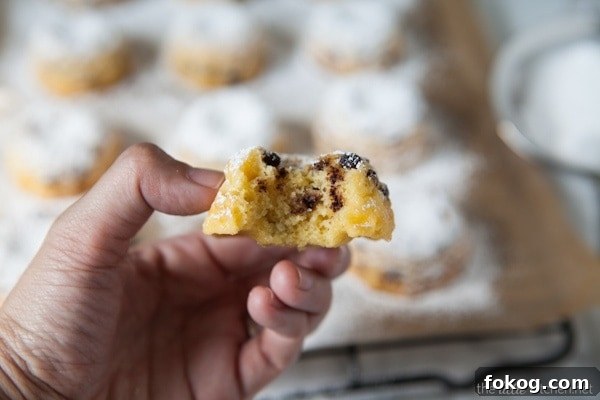 Vanilla Chocolate Chip Mini Bundt Cakes from thelittlekitchen.net Vanilla Chocolate Chip Mini Bundt Cakes