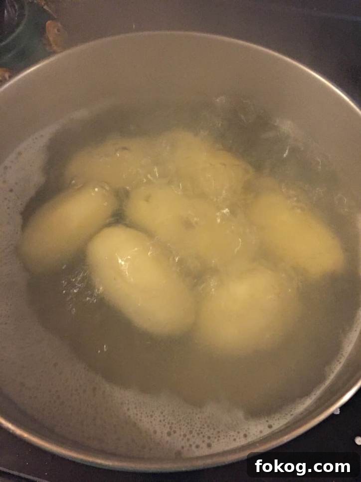 Twice Fired Potatoes