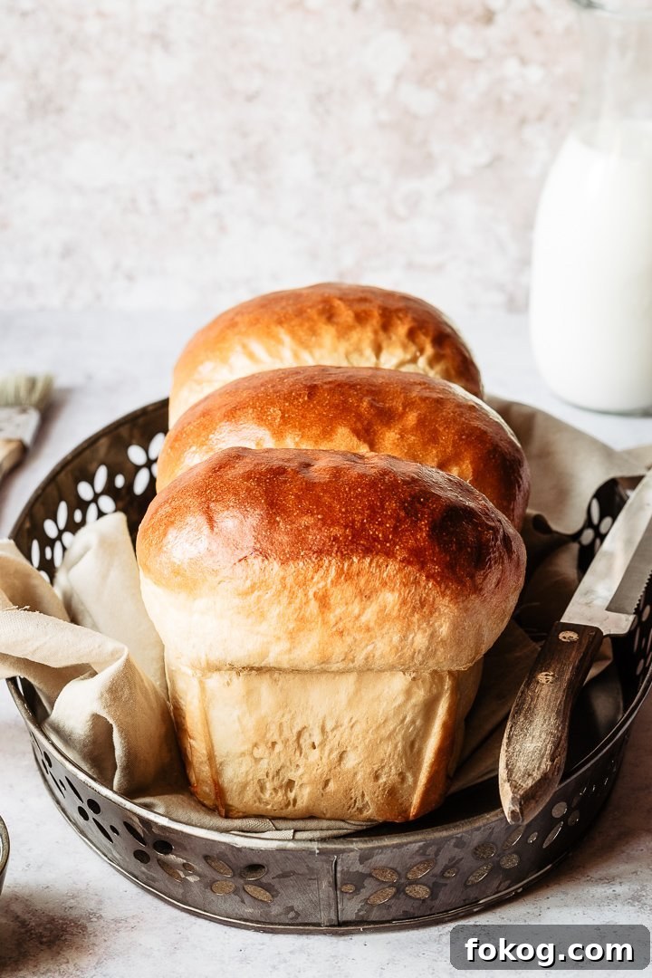 Slices of Hokkaido milk bread