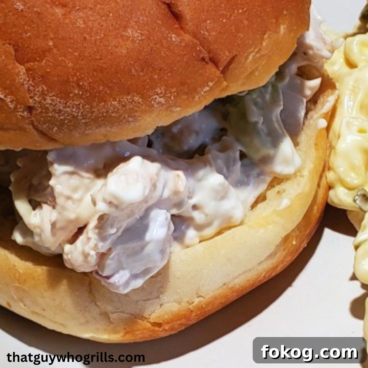 Smoked Chicken Salad Sandwich Served With Pasta Salad