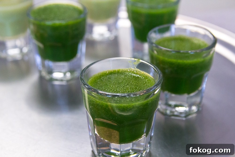 Wheatgrass Juice Recipe