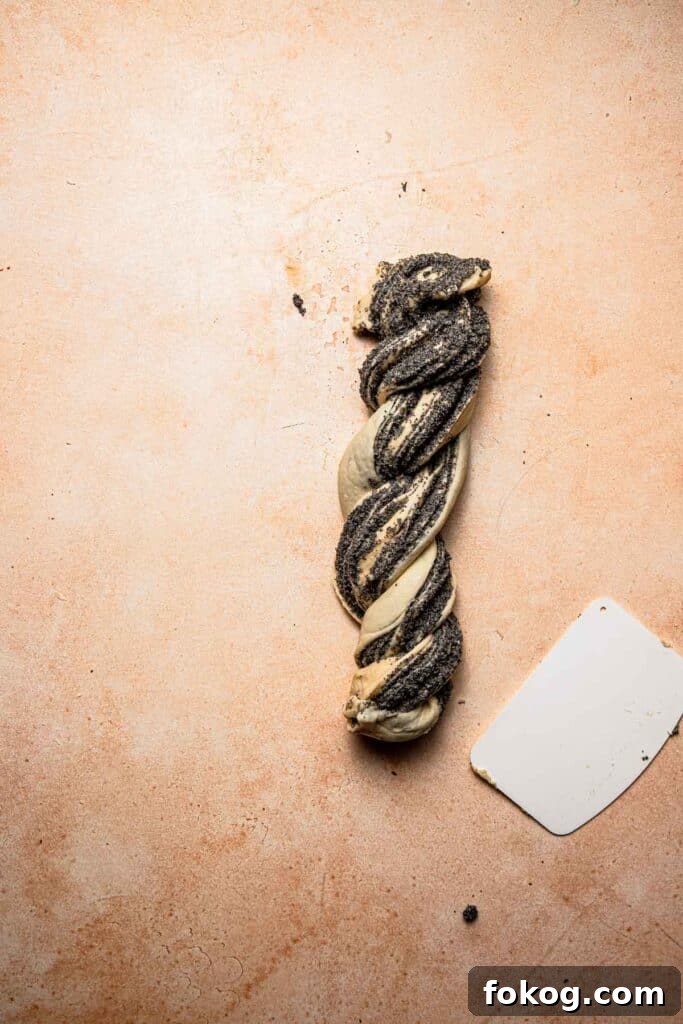 Poppy Seed Babka Recipe: Classic Swirled Pastry 10 Twisted poppy seed babka log.