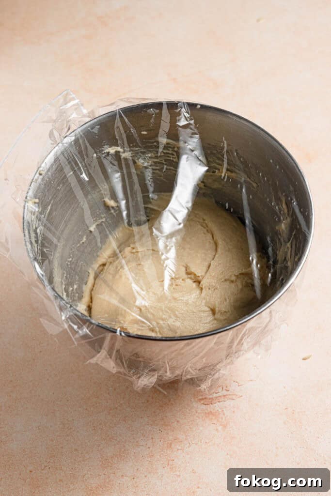 Poppy Seed Babka Recipe: Classic Swirled Pastry 5 Mixer bowl with dough covered.