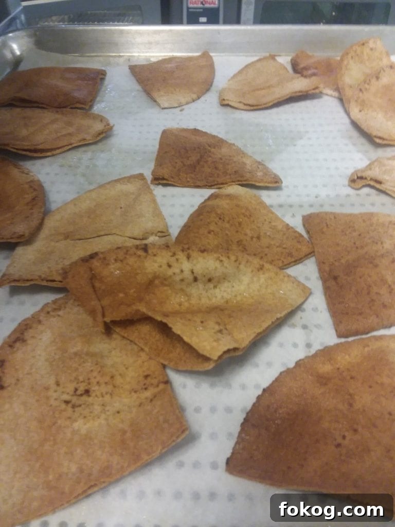 Quick No-Cook Summer Snacks to Beat the Heat 5 Pita Chips