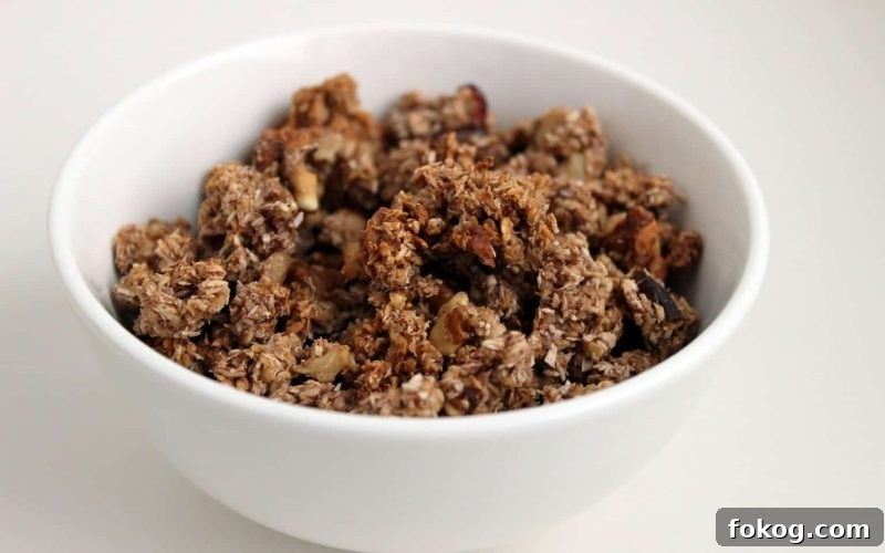 Quick No-Cook Summer Snacks to Beat the Heat 7 Oat Raisin Granola